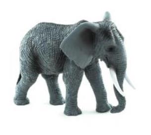 Opakowanie Słoń afrykański ANIMAL PLANET