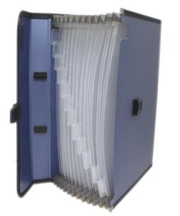 Opakowanie Teczka z przegrodami 5555 mix