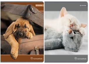 Opakowanie Zeszyt A5 w kratkę 80 kartek Rachel Hale 5 sztuk mix