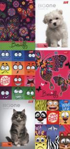 Opakowanie Zeszyt A5 w trzy linie 32 kartki 15 sztuk mix