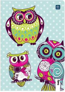 Opakowanie Zeszyt A5/16K kratka UV 401A/Girls (20szt)