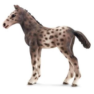 Opakowanie Źrebię rasy Knabstrupper