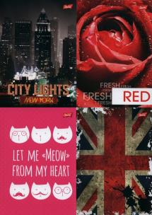 Opakowanie Brulion A5 w kratkę 96 kartek 5 sztuk mix