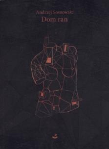 Okładka książki Dom ran