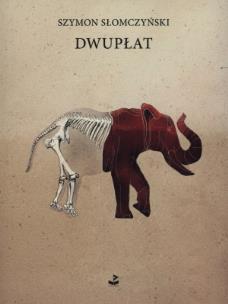 Okładka książki Dwupłat