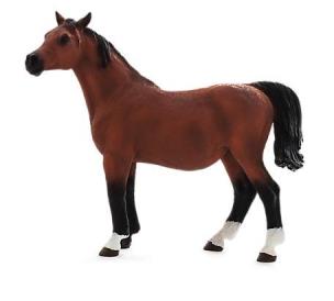 Opakowanie Klacz rasy arabskiej w ciąży ANIMAL PLANET