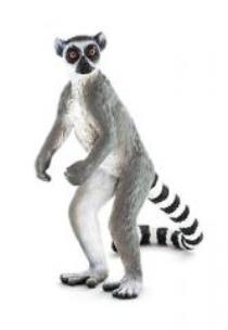 Opakowanie Lemur katta ANIMAL PLANET