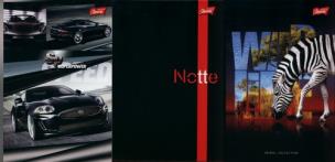 Opakowanie Notatnik A6 w kratkę 50 kartek 20 sztuk miox