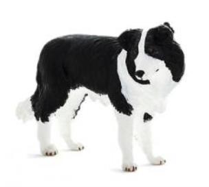 Opakowanie Pies rasy Border Collie ANIMAL PLANET