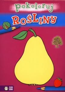 Okładka książki Rośliny - pokoloruj