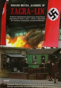 Okładka książki Zagra - Lin