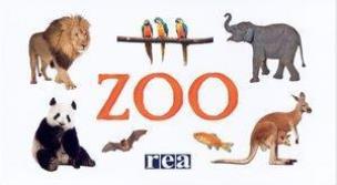 Okładka książki ZOO (harmonijka)