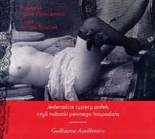 Okładka książki Jedenaście tysięcy pałek, czyli...audiobook