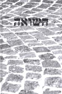 Okładka książki Pamięć Shoah