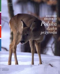 Okładka książki Polska dzika przyroda Sarna