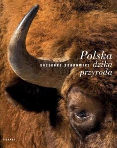 Okładka książki Polska dzika przyroda Żubr