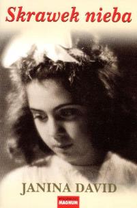 Okładka książki Skrawek nieba pocket