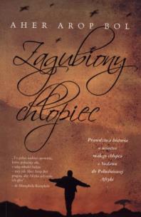 Okładka książki Zagubiony chłopiec