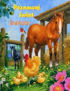 Okładka książki Źrebiątka. Poznawaj świat