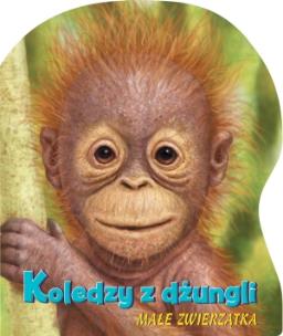 Okładka książki Koledzy z dżungli