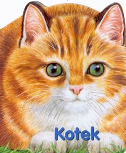 Okładka książki Kotek karton FK