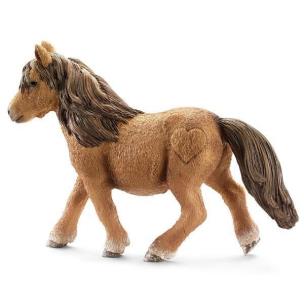 Opakowanie Kuc szetlandzki klacz