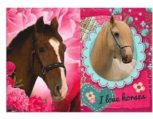Opakowanie Notes A7 Konie