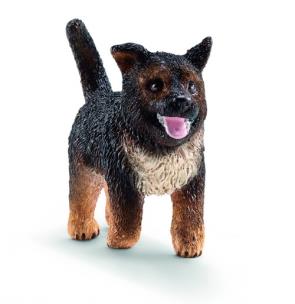 Opakowanie Owczarek niemiecki szczeniak