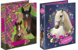 Opakowanie Segregator A5 Konie