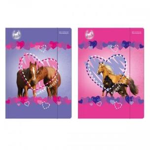 Opakowanie Teczka z gumką A4 Horses