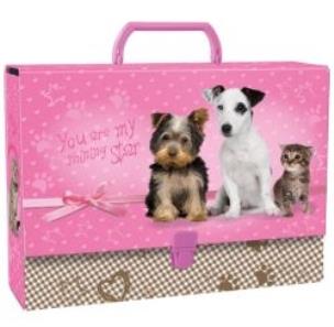 Opakowanie Teczka z rączką gruba Star Animals