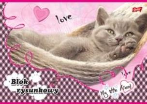 Opakowanie BLOK RYS.A4/20 MY LITTLE FRIE BIALY MAJEW BPZ