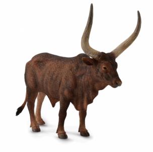 Okładka książki Byk ankole-watusi