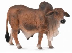 Okładka książki Byk czerwony brahman
