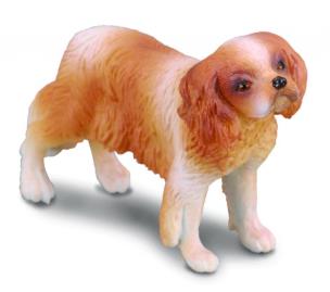 Okładka książki COLLECTA PIES RASY SPANIEL CAVALIER KING CHA ROZMIAR M BPZ