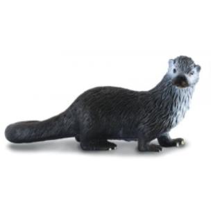 Okładka książki COLLECTA WYDRA ROZMIAR M BPZ-COLLECTA