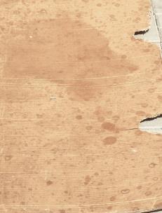 Okładka książki HONKY