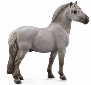 Okładka książki Koń Fiord Stallion Grey