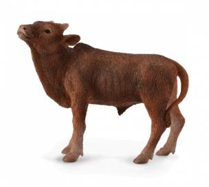 Okładka książki Krowa Ankole-Watusi Calf