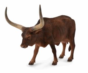 Okładka książki Krowa ankole-watusi
