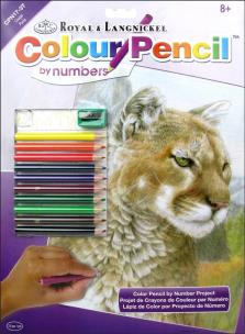 Opakowanie Numerkowe Rysowanie Puma