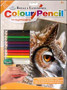 Opakowanie Numerkowe Rysowanie Sowa