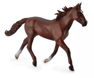 Okładka książki Ogier standardbred pacer kasztanowy