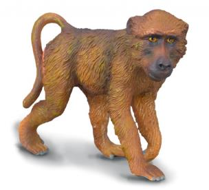 Opakowanie Pawian samiec - rozmiar M