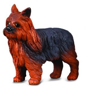 Opakowanie Pies Yorkshire Terier - rozmiar S