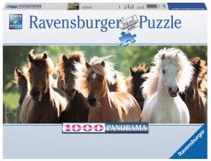 Opakowanie Puzzle 1000 Panoramiczne Dzikie konie