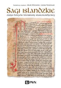 Okładka książki Sagi islandzkie . Zarys dziejów literatury staronordyckiej