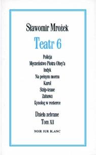 Okładka książki Teatr 6