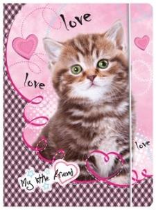 Opakowanie Teczka z guma A4 My Little Friend bpz