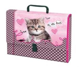 Opakowanie TECZKA Z RACZKA A4 PIESKI KOTY BPZ MAJE